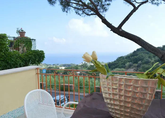 Hotel Polito